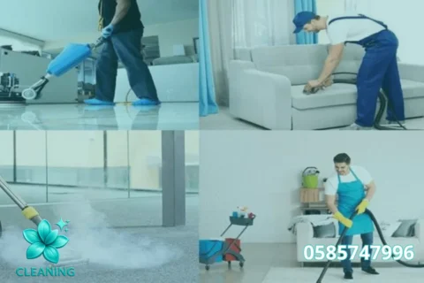 Sofa Cleaning