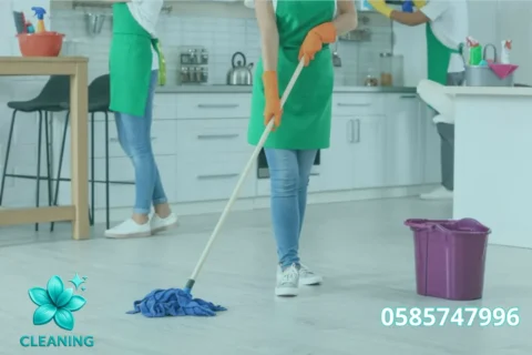 Apartment Cleaning
