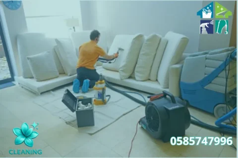 Sofa Cleaning