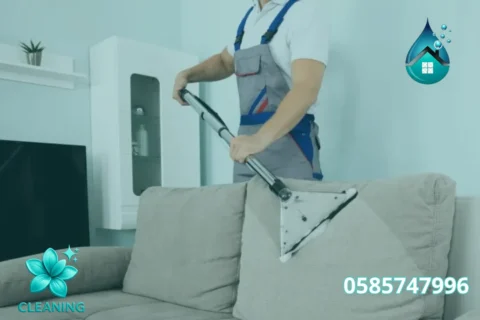 Sofa Cleaning