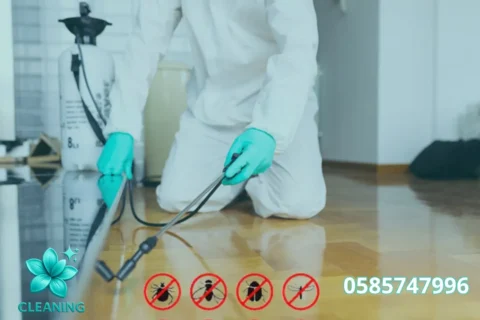 Villa Cleaning in Al Barsha