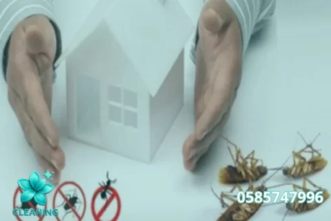 Villa Cleaning in Abu Dhabi