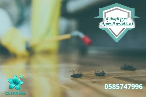 مكافحة حشرات