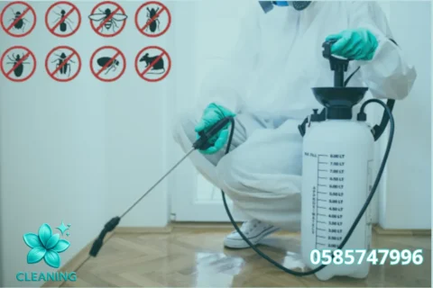 Cleaning Company in Dubai