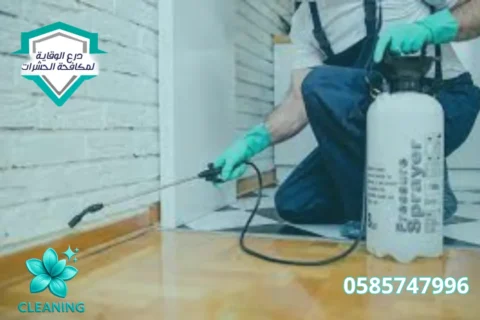 Deep Villa Cleaning Company in Dubai