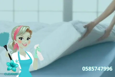 Mattress Cleaning