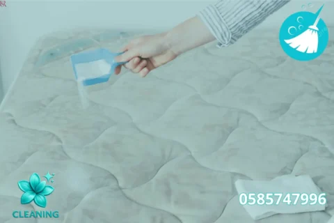 Hourly Home Cleaning Company