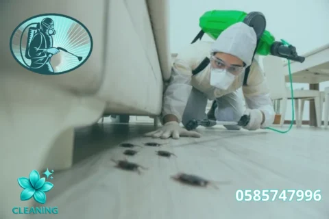 Villa Cleaning in Al Khan