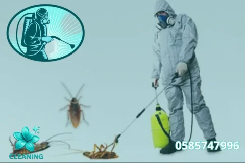 Villa Cleaning in Al Zahia