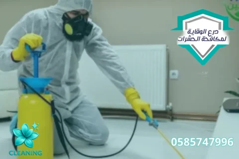 Pest Control in Abu Dhabi