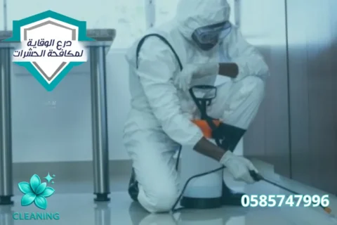 Villa Cleaning in Bani Yas