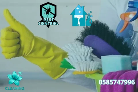 Villa Cleaning in Al Bateen